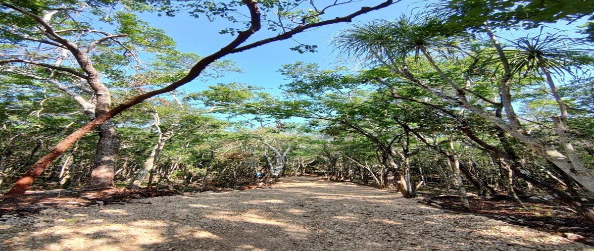 Foto de terreno habitacional en venta en  , ciudad chemuyil, tulum, quintana roo, 0 No. 03