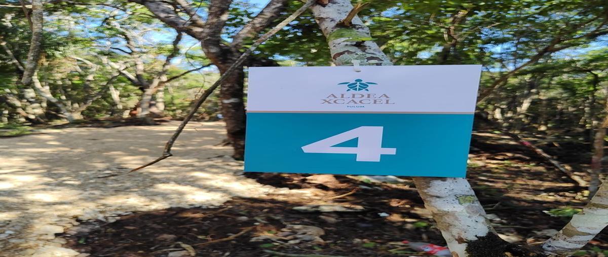 Foto de terreno habitacional en venta en  , ciudad chemuyil, tulum, quintana roo, 0 No. 04