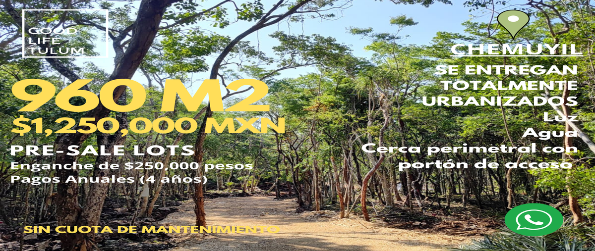 Foto de terreno habitacional en venta en  , ciudad chemuyil, tulum, quintana roo, 0 No. 05