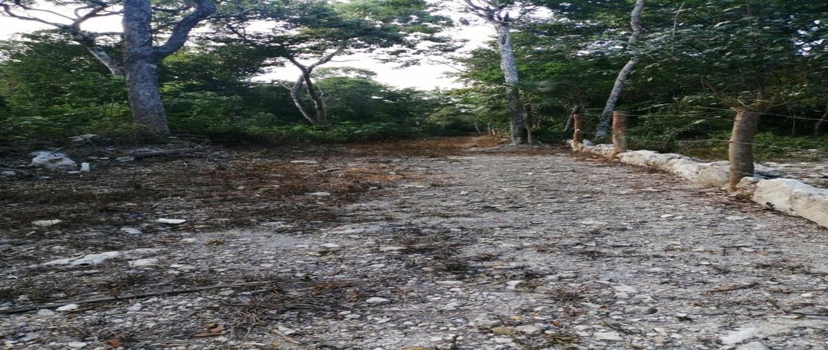 Foto de terreno habitacional en venta en  , ciudad chemuyil, tulum, quintana roo, 0 No. 03
