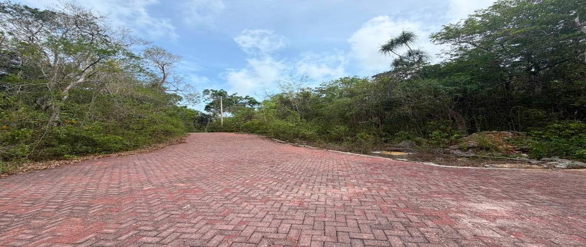 Foto de terreno habitacional en venta en  , ciudad chemuyil, tulum, quintana roo, 0 No. 03