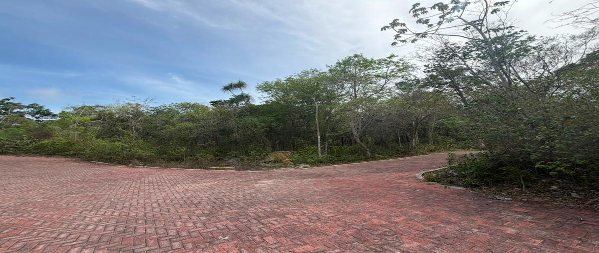 Foto de terreno habitacional en venta en  , ciudad chemuyil, tulum, quintana roo, 0 No. 04