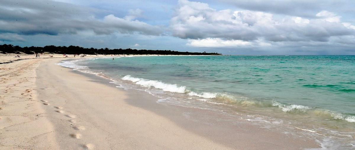 Foto de casa en venta en  , ciudad chemuyil, tulum, quintana roo, 0 No. 05