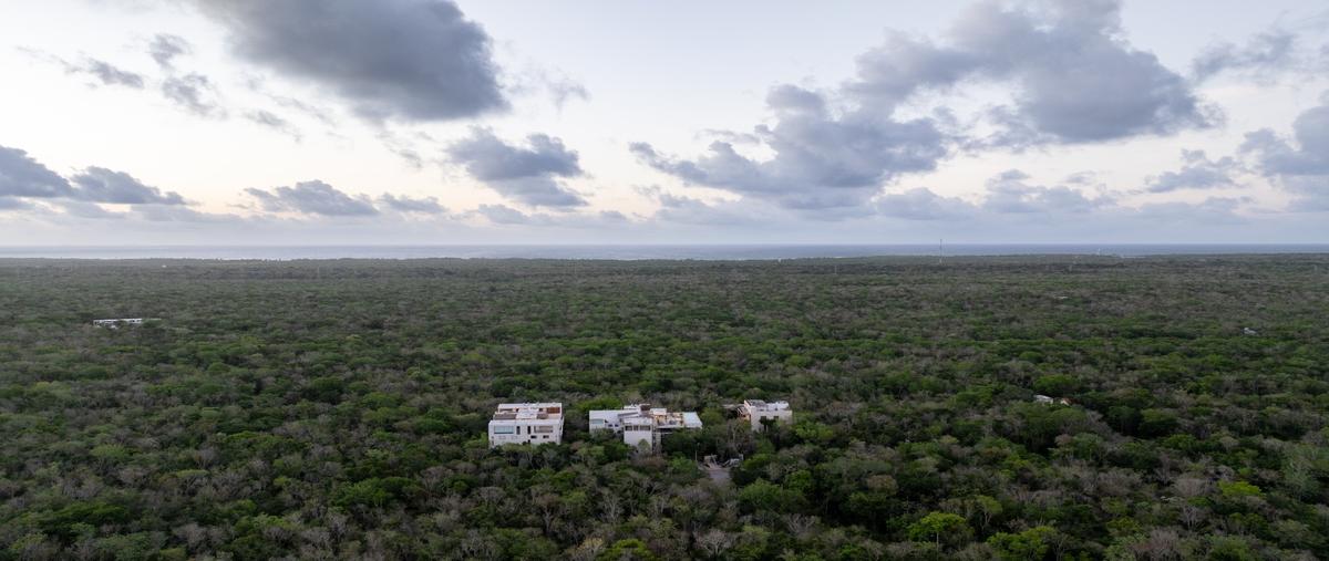 Foto de casa en venta en  , ciudad chemuyil, tulum, quintana roo, 0 No. 05