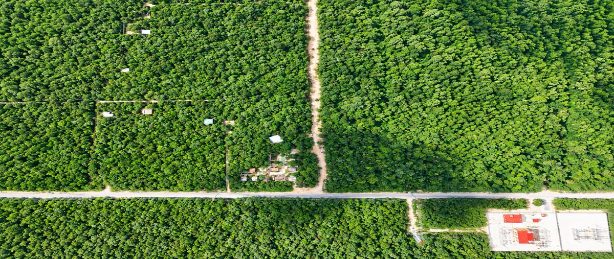 Foto de terreno habitacional en venta en  , ciudad chemuyil, tulum, quintana roo, 0 No. 03