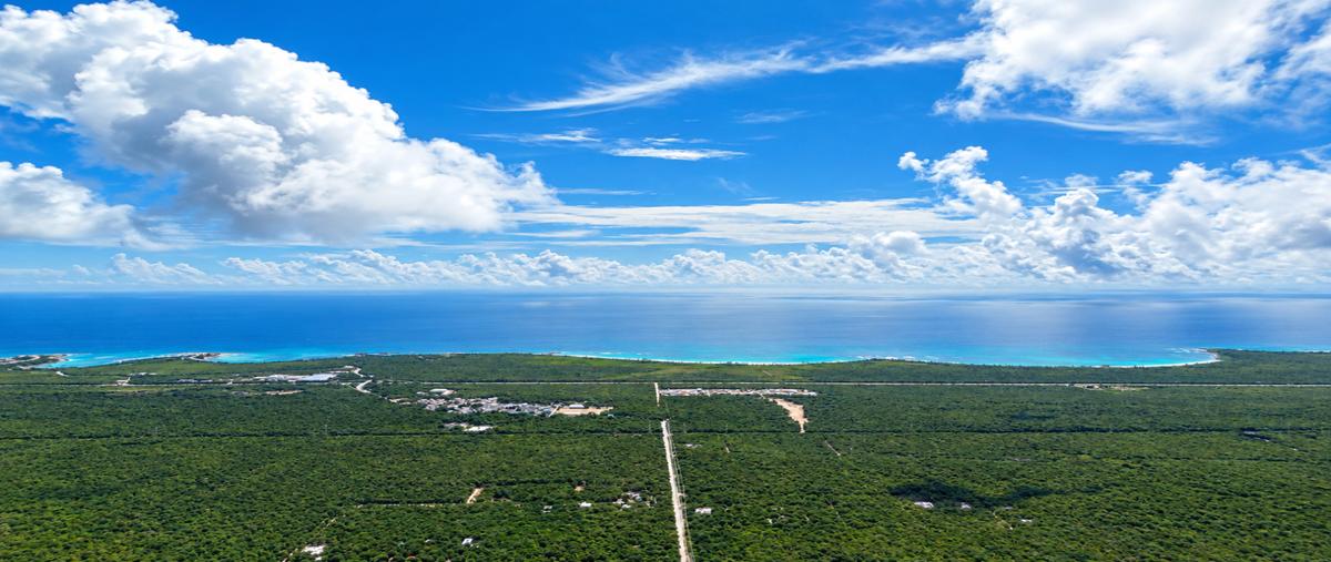 Foto de terreno habitacional en venta en  , ciudad chemuyil, tulum, quintana roo, 0 No. 04