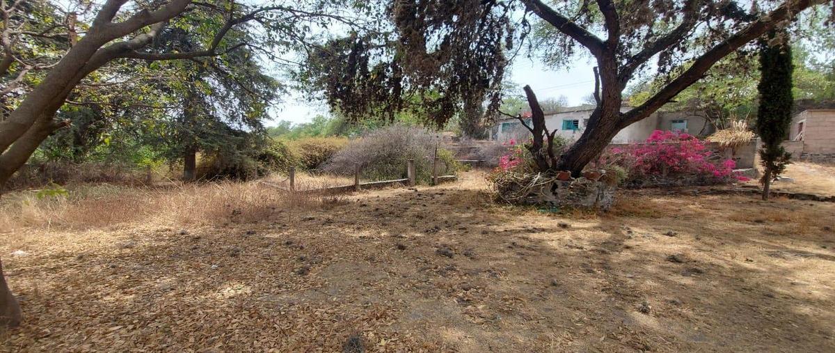 Foto de casa en venta en  , ciudad cooperativa cruz azul centro, tula de allende, hidalgo, 20200611 No. 04