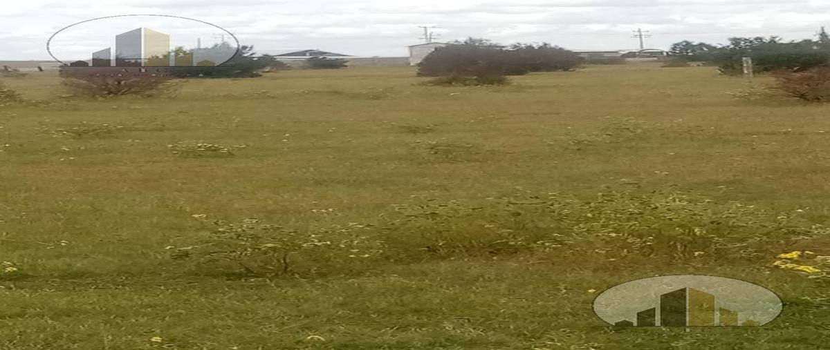 Foto de terreno habitacional en venta en  , ciudad cuauhtémoc centro, cuauhtémoc, chihuahua, 22340553 No. 03