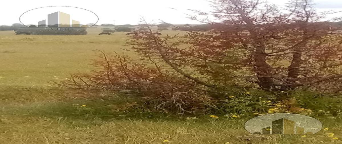 Foto de terreno habitacional en venta en  , ciudad cuauhtémoc centro, cuauhtémoc, chihuahua, 22340553 No. 04