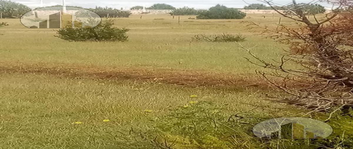 Foto de terreno habitacional en venta en  , ciudad cuauhtémoc centro, cuauhtémoc, chihuahua, 22340553 No. 05