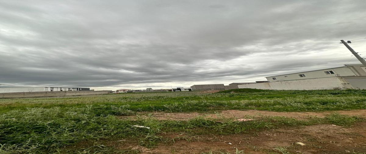 Foto de terreno habitacional en venta en  , ciudad cuauhtémoc centro, cuauhtémoc, chihuahua, 30188863 No. 03