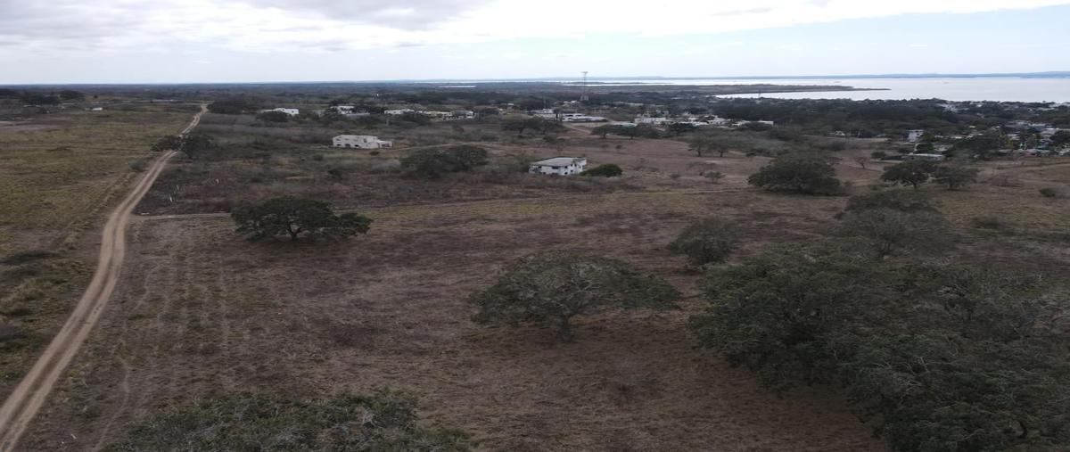 Foto de terreno habitacional en venta en  , ciudad cuauhtémoc, pueblo viejo, veracruz de ignacio de la llave, 25917640 No. 01