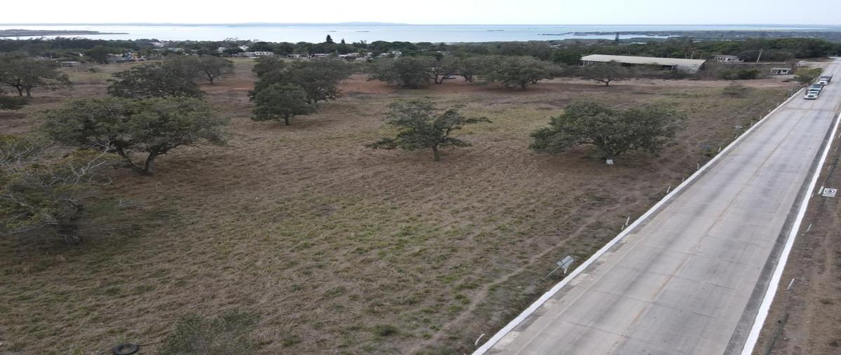 Foto de terreno habitacional en venta en  , ciudad cuauhtémoc, pueblo viejo, veracruz de ignacio de la llave, 25917640 No. 03