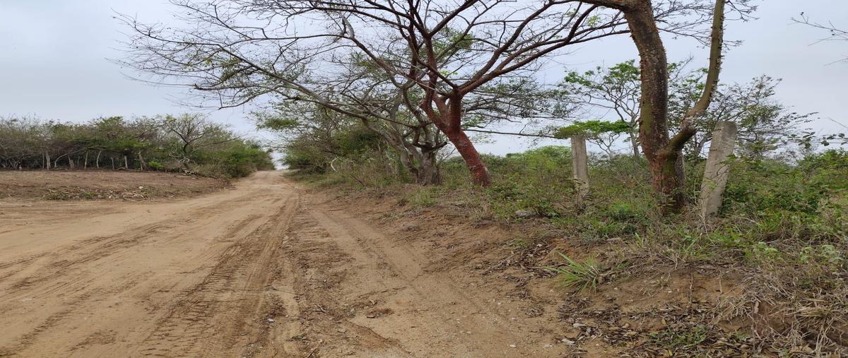 Foto de terreno habitacional en venta en  , ciudad cuauhtémoc, pueblo viejo, veracruz de ignacio de la llave, 0 No. 03