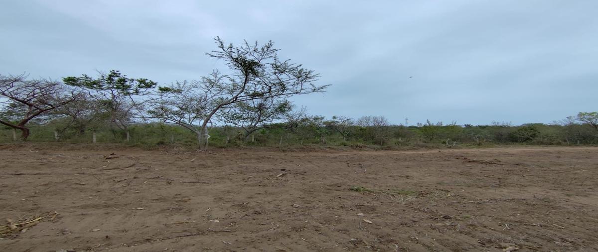 Foto de terreno habitacional en venta en  , ciudad cuauhtémoc, pueblo viejo, veracruz de ignacio de la llave, 0 No. 04