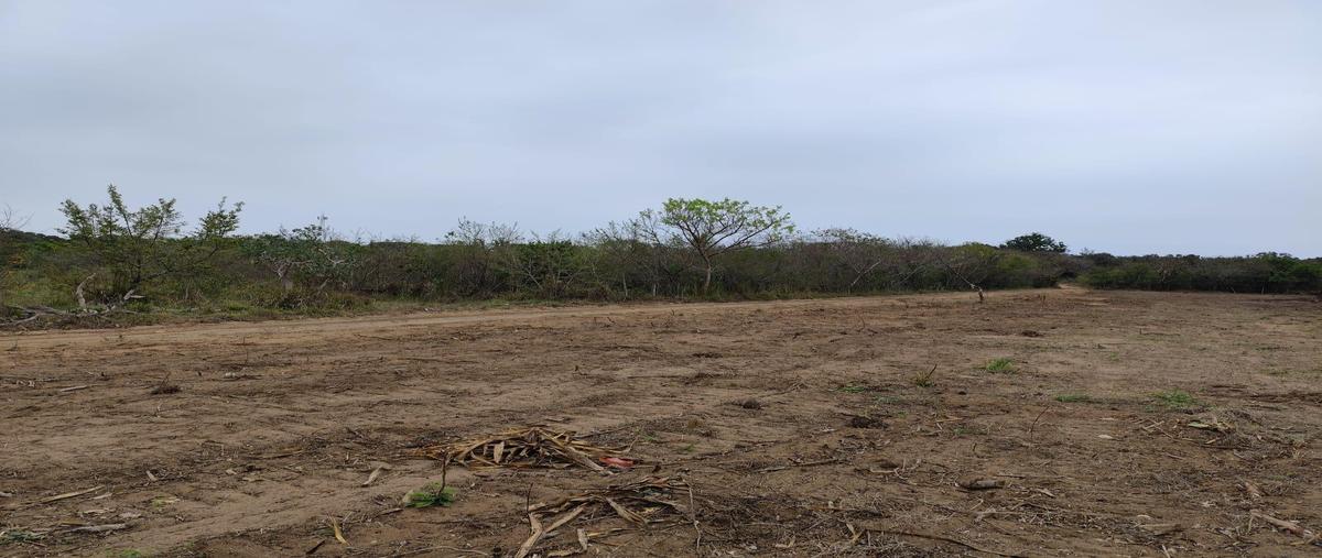 Foto de terreno habitacional en venta en  , ciudad cuauhtémoc, pueblo viejo, veracruz de ignacio de la llave, 0 No. 05