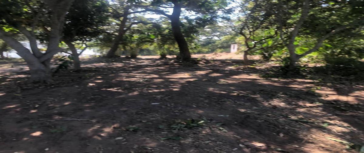 Foto de casa en venta en  , ciudad cuauhtémoc, pueblo viejo, veracruz de ignacio de la llave, 30145131 No. 04