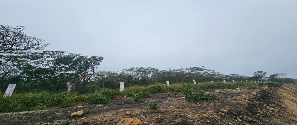 Foto de terreno habitacional en venta en  , ciudad cuauhtémoc, pueblo viejo, veracruz de ignacio de la llave, 30164188 No. 04