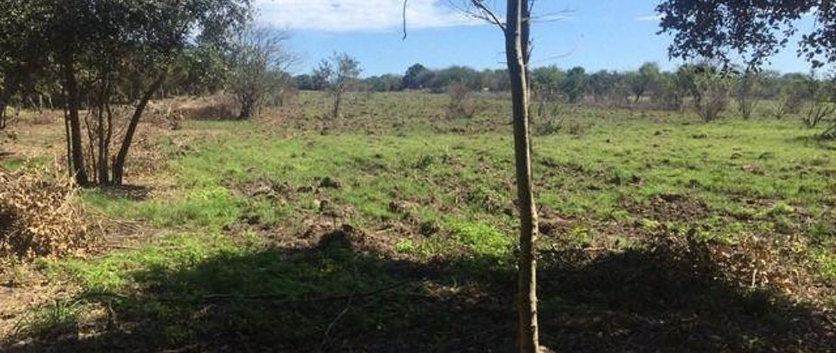 Foto de casa en venta en  , ciudad cuauhtémoc, pueblo viejo, veracruz de ignacio de la llave, 6772513 No. 01