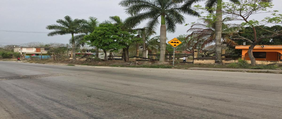 Foto de terreno habitacional en venta en  , ciudad cuauhtémoc, pueblo viejo, veracruz de ignacio de la llave, 7651067 No. 02