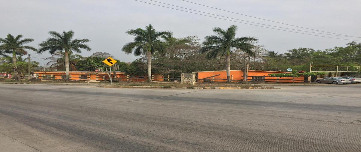 Foto de terreno habitacional en venta en  , ciudad cuauhtémoc, pueblo viejo, veracruz de ignacio de la llave, 7651067 No. 03