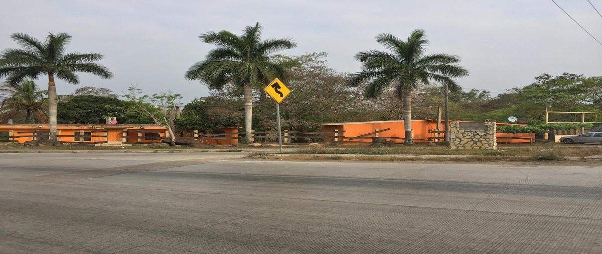 Foto de terreno habitacional en venta en  , ciudad cuauhtémoc, pueblo viejo, veracruz de ignacio de la llave, 7651067 No. 04