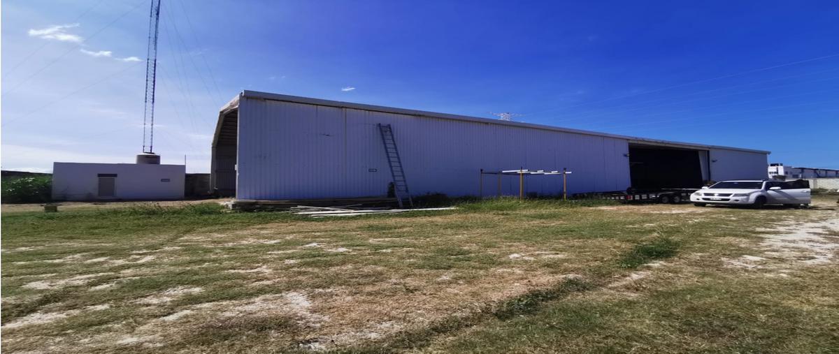 Foto de nave industrial en renta en  , ciudad del carmen (ciudad del carmen), carmen, campeche, 23285268 No. 04