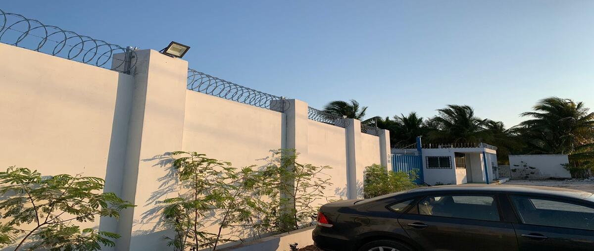 Foto de bodega en renta en ciudad del carmen , club residencial azul, carmen, campeche, 29978750 No. 03