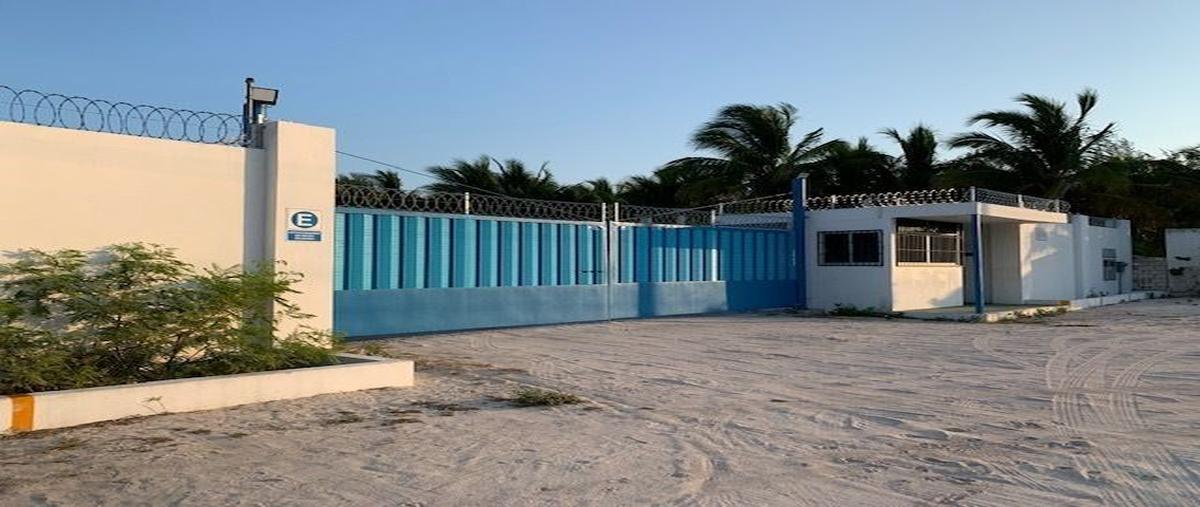 Foto de bodega en renta en ciudad del carmen , club residencial azul, carmen, campeche, 29978750 No. 04