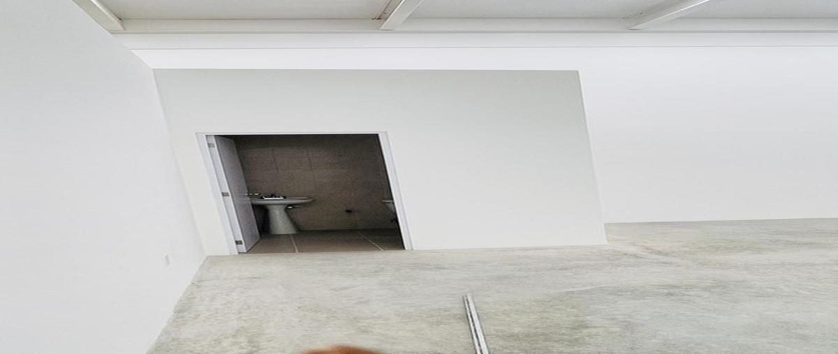 Foto de bodega en venta en  , ciudad del sol sección valle de santiago, querétaro, querétaro, 30709709 No. 04