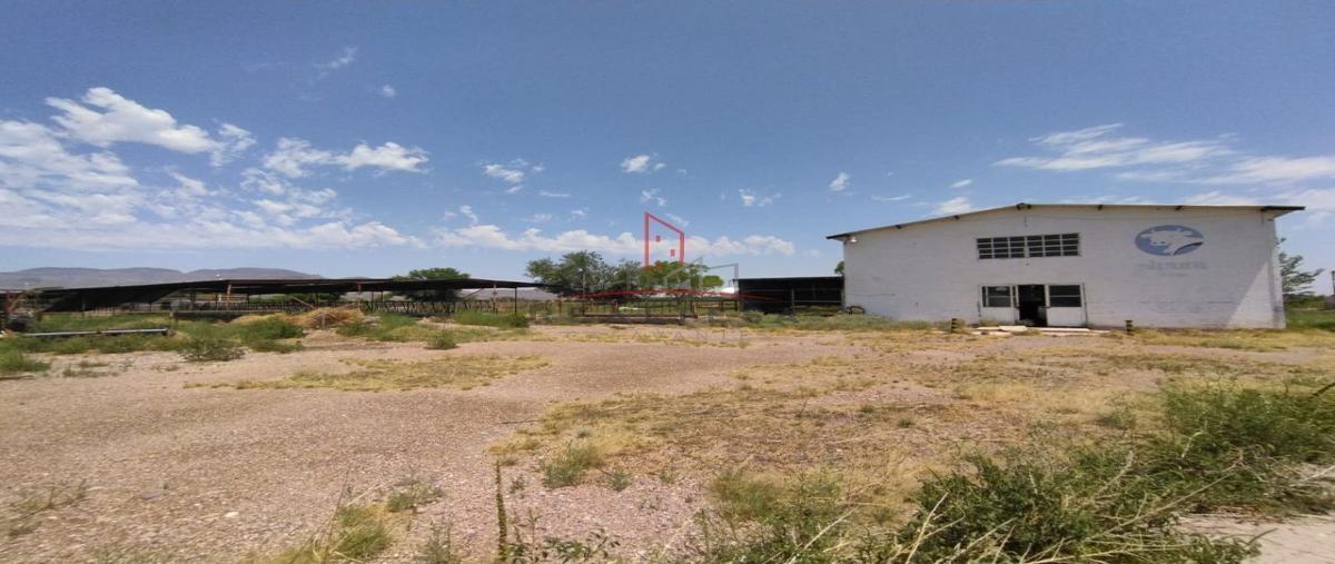 Foto de terreno habitacional en renta en  , ciudad delicias centro, delicias, chihuahua, 27076206 No. 05