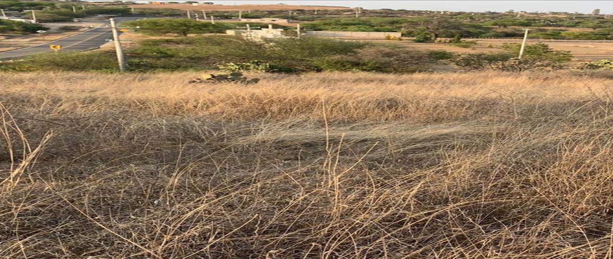 Foto de terreno habitacional en venta en  , ciudad dolores hidalgo, dolores hidalgo cuna de la independencia nacional, guanajuato, 0 No. 03