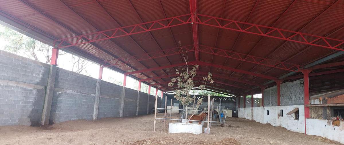 Foto de bodega en venta en  , ciudad general escobedo centro, general escobedo, nuevo león, 25682267 No. 05