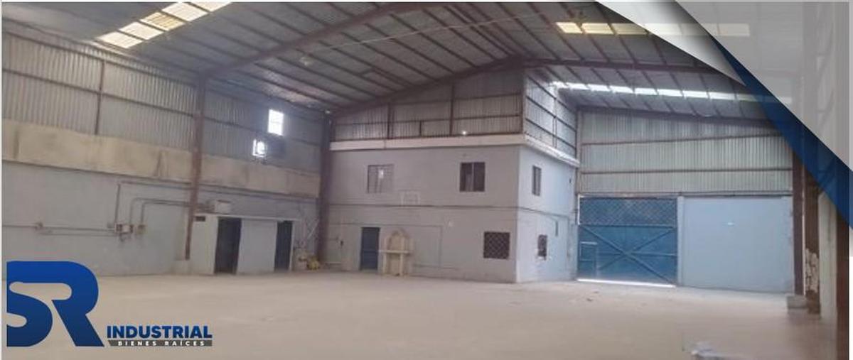 Foto de bodega en renta en  , ciudad general escobedo centro, general escobedo, nuevo león, 31037572 No. 04