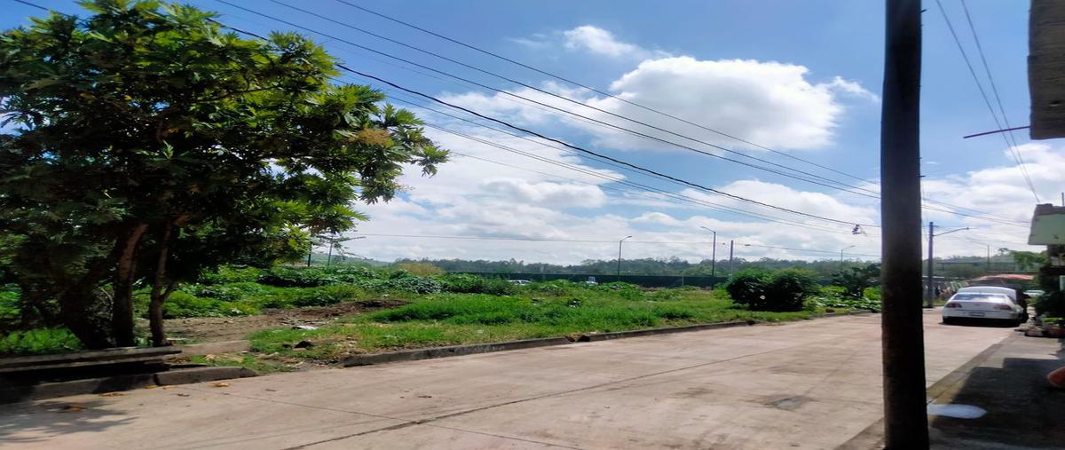 Foto de bodega en venta en ciudad industrial , ciudad industrial, morelia, michoacán de ocampo, 22341544 No. 03