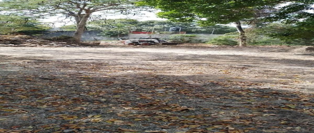 Foto de terreno habitacional en renta en  , ciudad industrial, mérida, yucatán, 27312849 No. 04