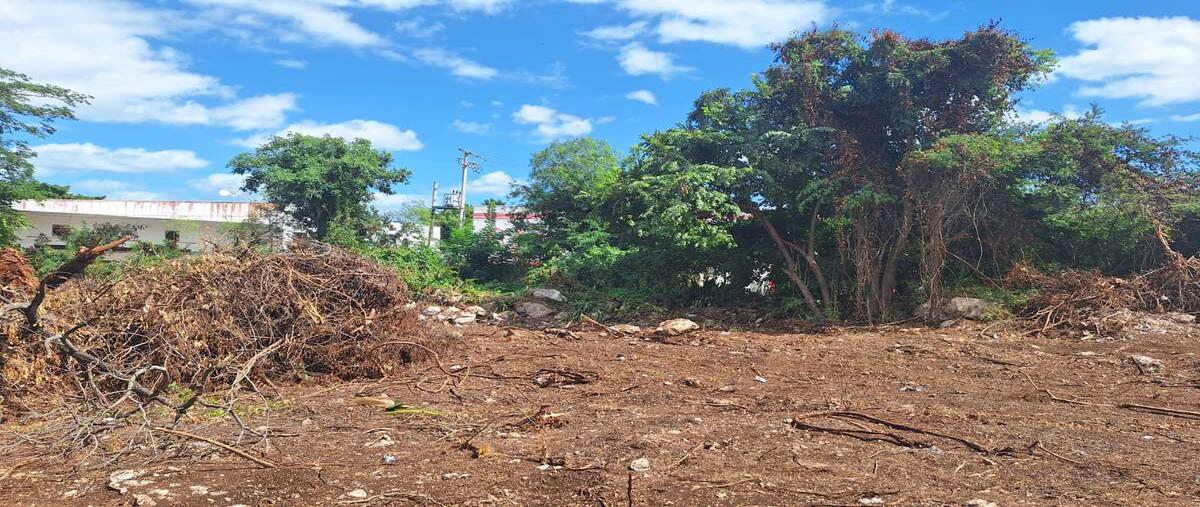 Foto de terreno industrial en venta en  , ciudad industrial, mérida, yucatán, 0 No. 04