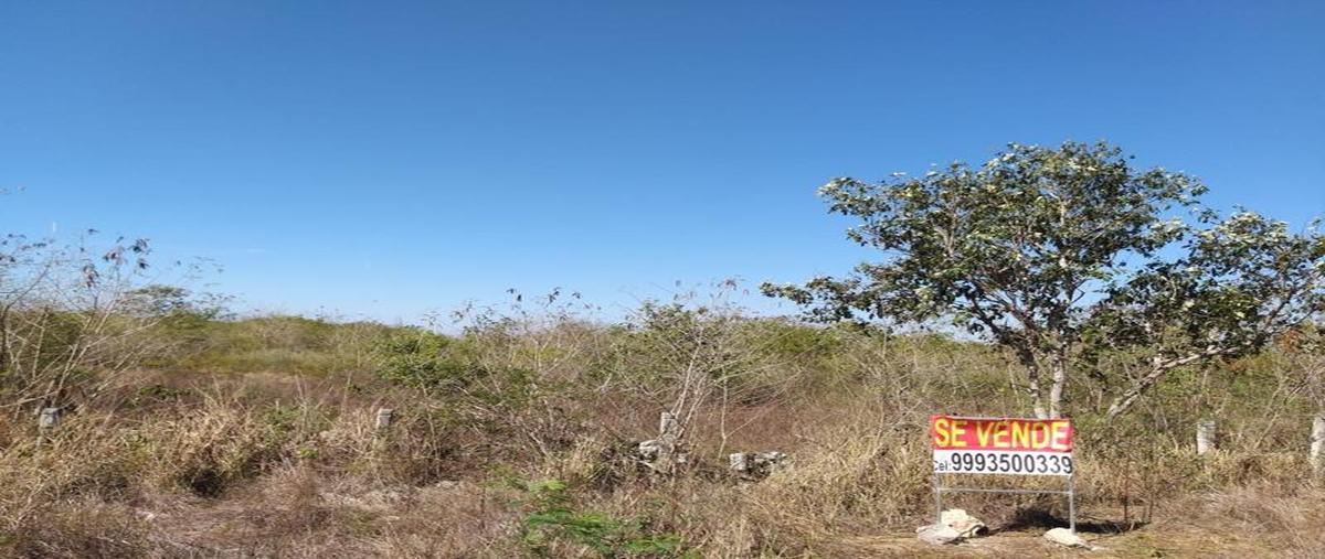 Foto de terreno habitacional en venta en  , ciudad industrial, umán, yucatán, 0 No. 05