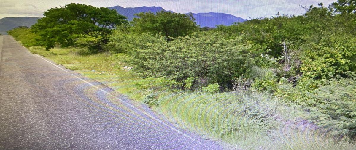 Foto de terreno habitacional en venta en  , ciudad ixtepec centro, ciudad ixtepec, oaxaca, 21840104 No. 04