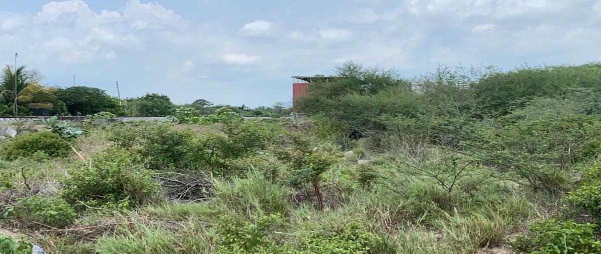 Foto de terreno habitacional en venta en  , ciudad ixtepec centro, ciudad ixtepec, oaxaca, 21840104 No. 05