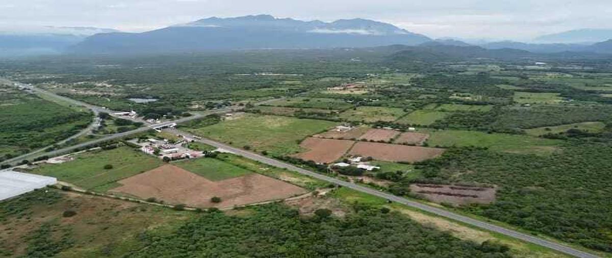 Foto de terreno habitacional en venta en  , ciudad ixtepec centro, ciudad ixtepec, oaxaca, 23584620 No. 03