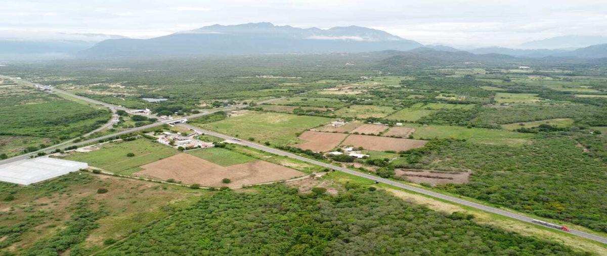 Foto de terreno habitacional en venta en  , ciudad ixtepec centro, ciudad ixtepec, oaxaca, 23584620 No. 05