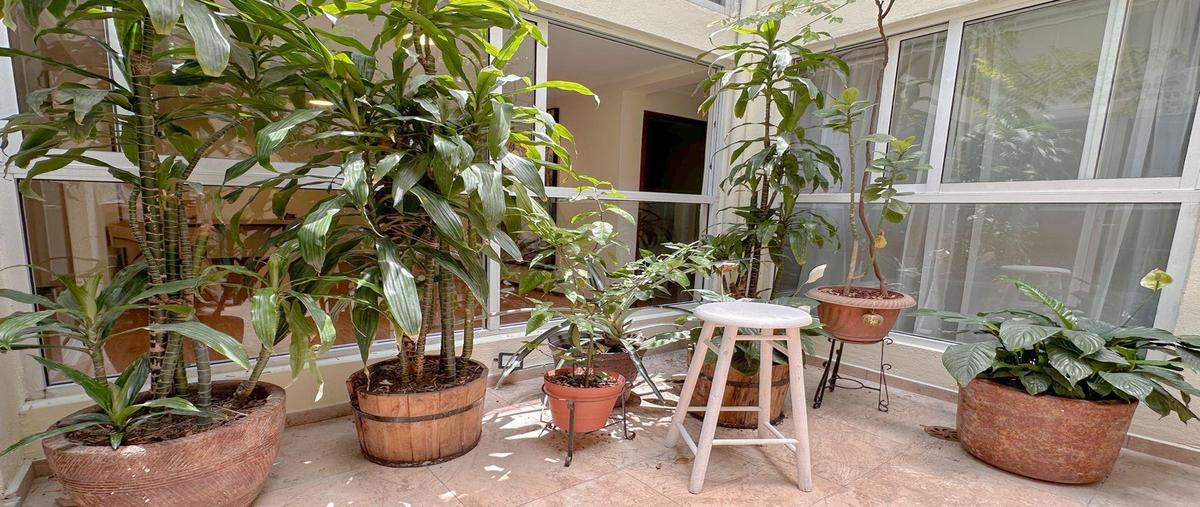 Foto de departamento en renta en  , ciudad jardín, coyoacán, df / cdmx, 0 No. 03