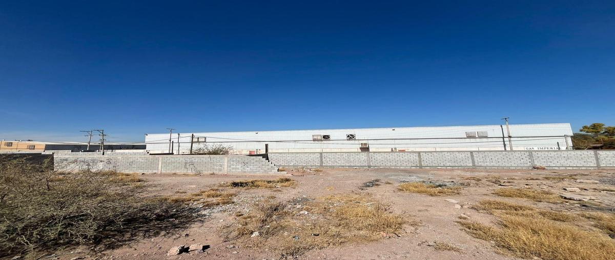 Foto de terreno habitacional en venta en  , ciudad juárez, lerdo, durango, 0 No. 03