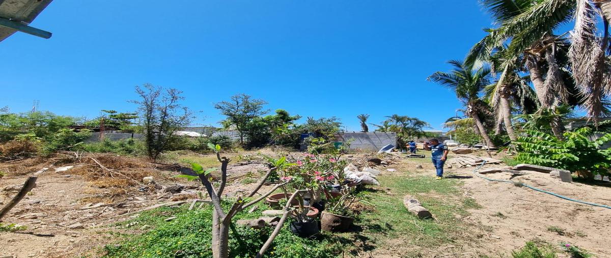 Foto de terreno habitacional en venta en  , ciudad luis donaldo colosio, acapulco de juárez, guerrero, 0 No. 05
