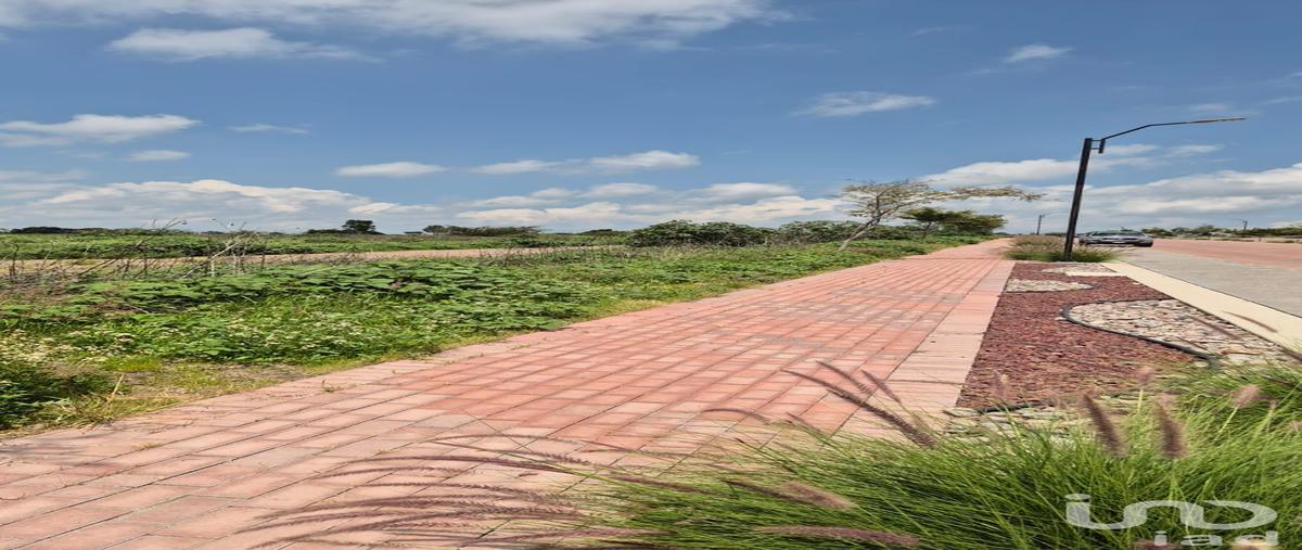 Foto de terreno comercial en venta en ciudad maderas corregidora , puerta de san rafael, corregidora, querétaro, 30181686 No. 03