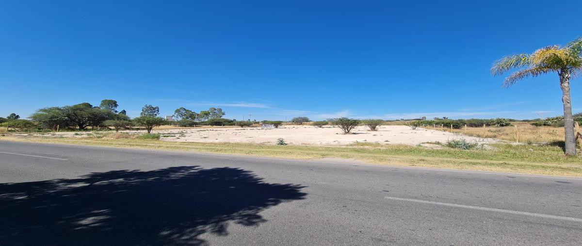 Foto de terreno comercial en venta en  , ciudad maderas, el marqués, querétaro, 30150592 No. 04