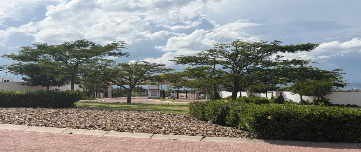 Foto de terreno habitacional en venta en  , ciudad maderas, el marqués, querétaro, 0 No. 05