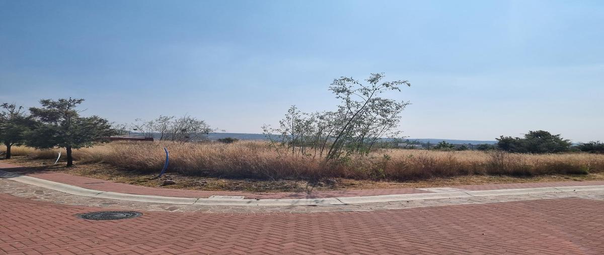 Foto de terreno habitacional en venta en  , ciudad maderas, lagos de moreno, jalisco, 0 No. 04