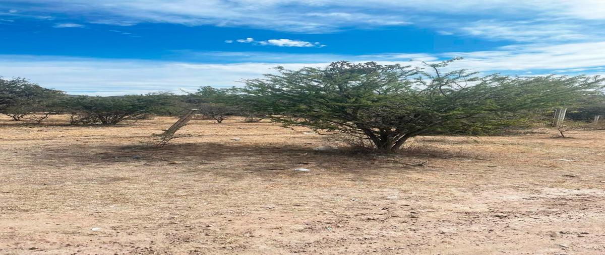 Foto de terreno habitacional en venta en  , ciudad maderas, lagos de moreno, jalisco, 0 No. 04